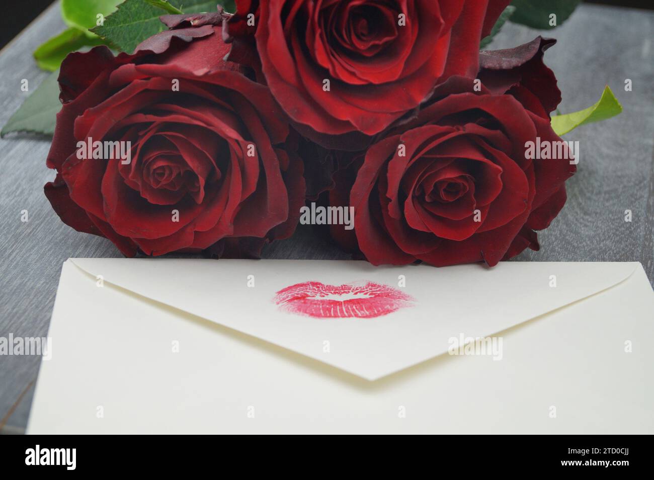 Tè ibrido (Rosa odorata hybrida), rose di baccarat con busta con stampa di labbro rosso Foto Stock