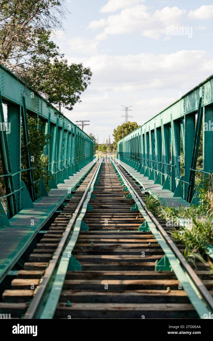 Una vista dritta di un ponte ferroviario dipinto di verde con binari metallici, che mostra una prospettiva prospettica sparente tra vegetazione lussureggiante sotto un cielo nuvoloso. Foto Stock