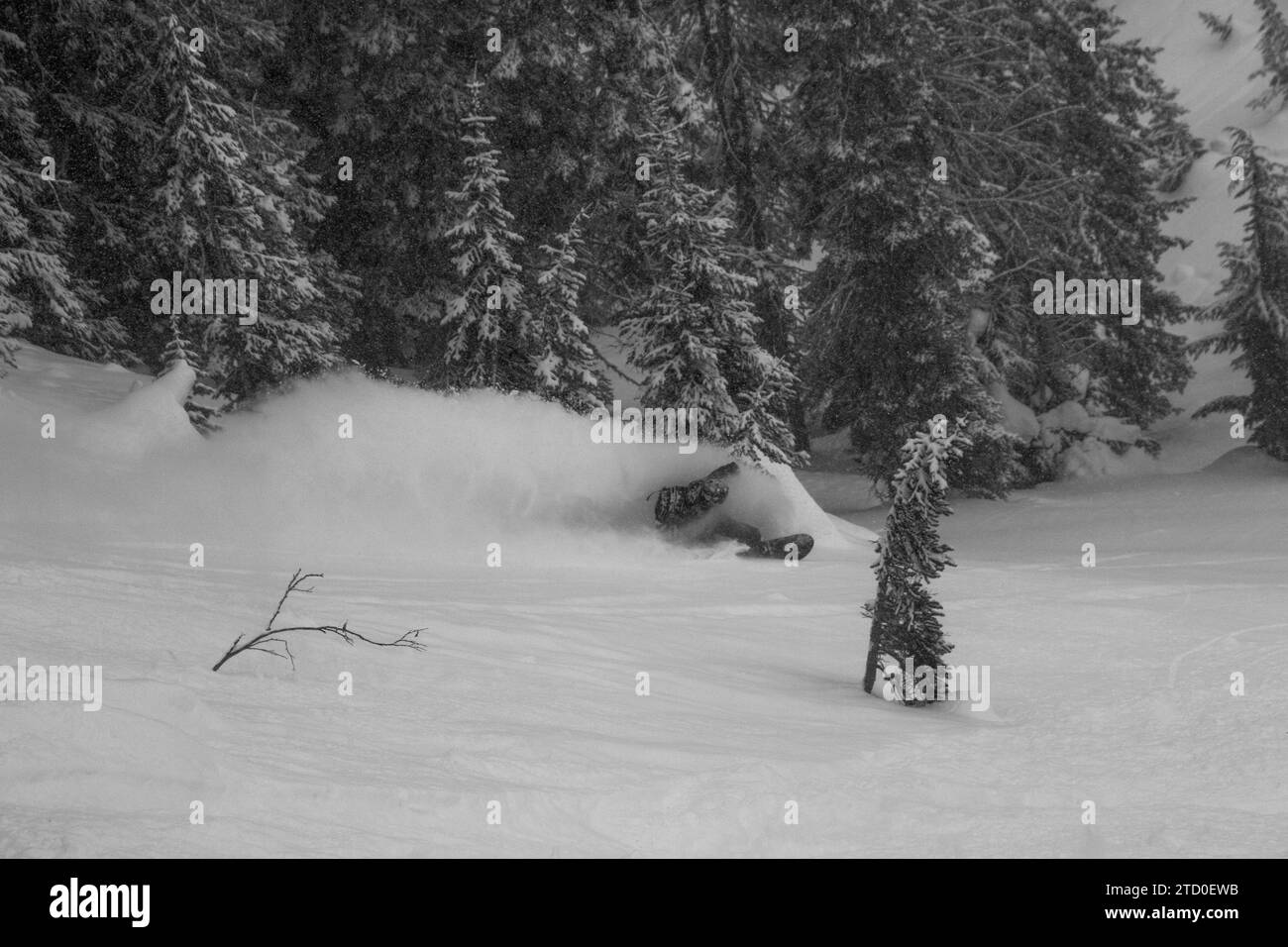 Vista dall'alto di un anonimo snowboarder che scende su un maestoso pendio innevato mentre ti godi una vacanza invernale in Canada Foto Stock