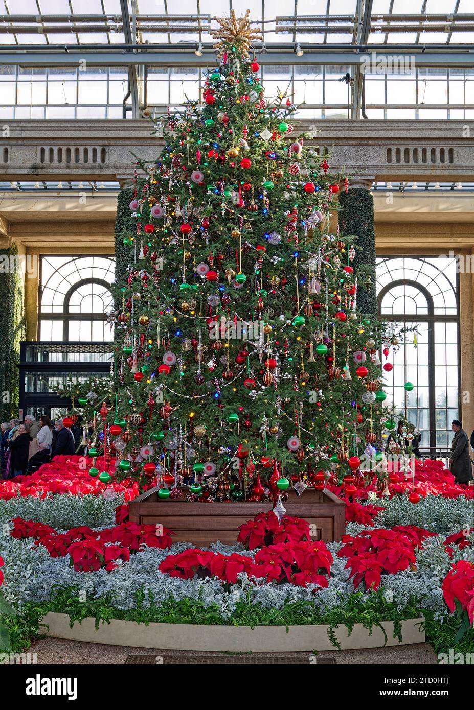 Grande albero decorato; elaborata esposizione natalizia; soffitto in vetro; poinsettias, persone, colorato, festivo, festivo, Conservatory; Longwood Gardens; Ken Foto Stock