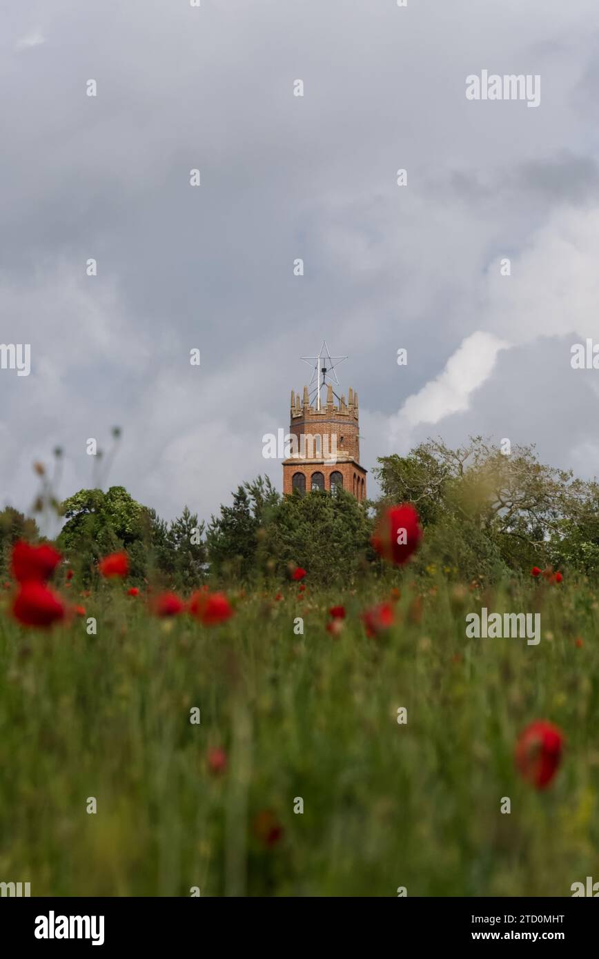 Torre Faringdon Folly circondata da boschi con papaveri in primo piano sfocato a Faringdon, Oxfordshire, Regno Unito Foto Stock