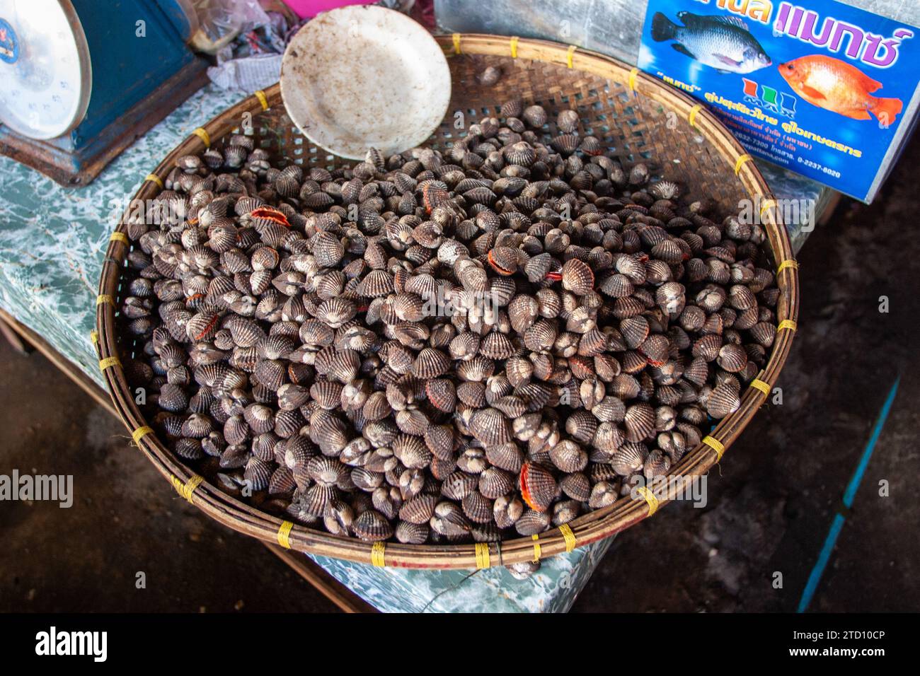 Ostriche in vendita nel mercato alimentare di Bangkok Thailandia Foto Stock