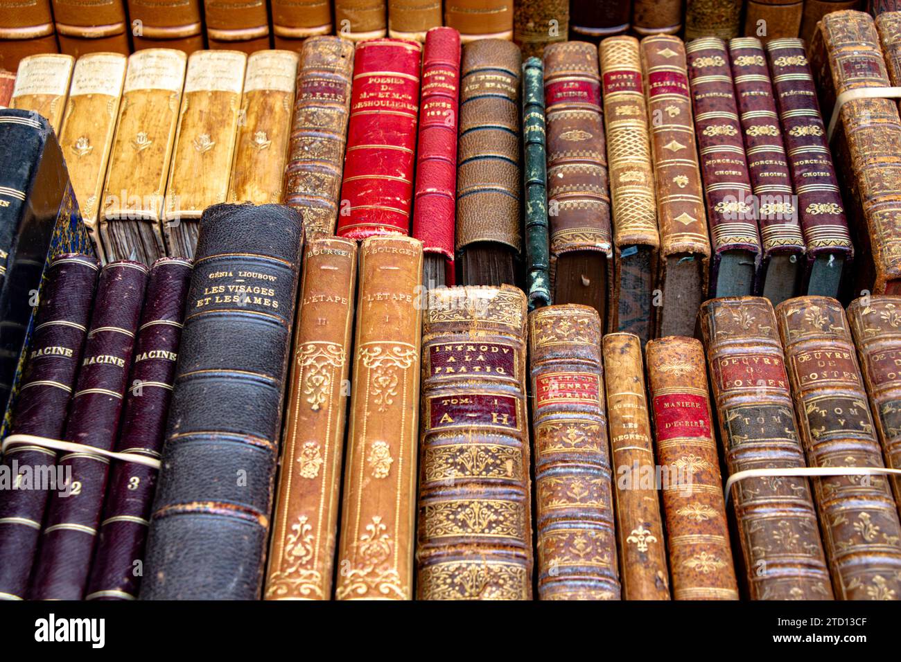 Libri francesi d'epoca e rari al Librairie du Passage, all'interno del Passage Jouffrey, una galleria commerciale coperta nel 9° arrondissement di Parigi in Francia Foto Stock
