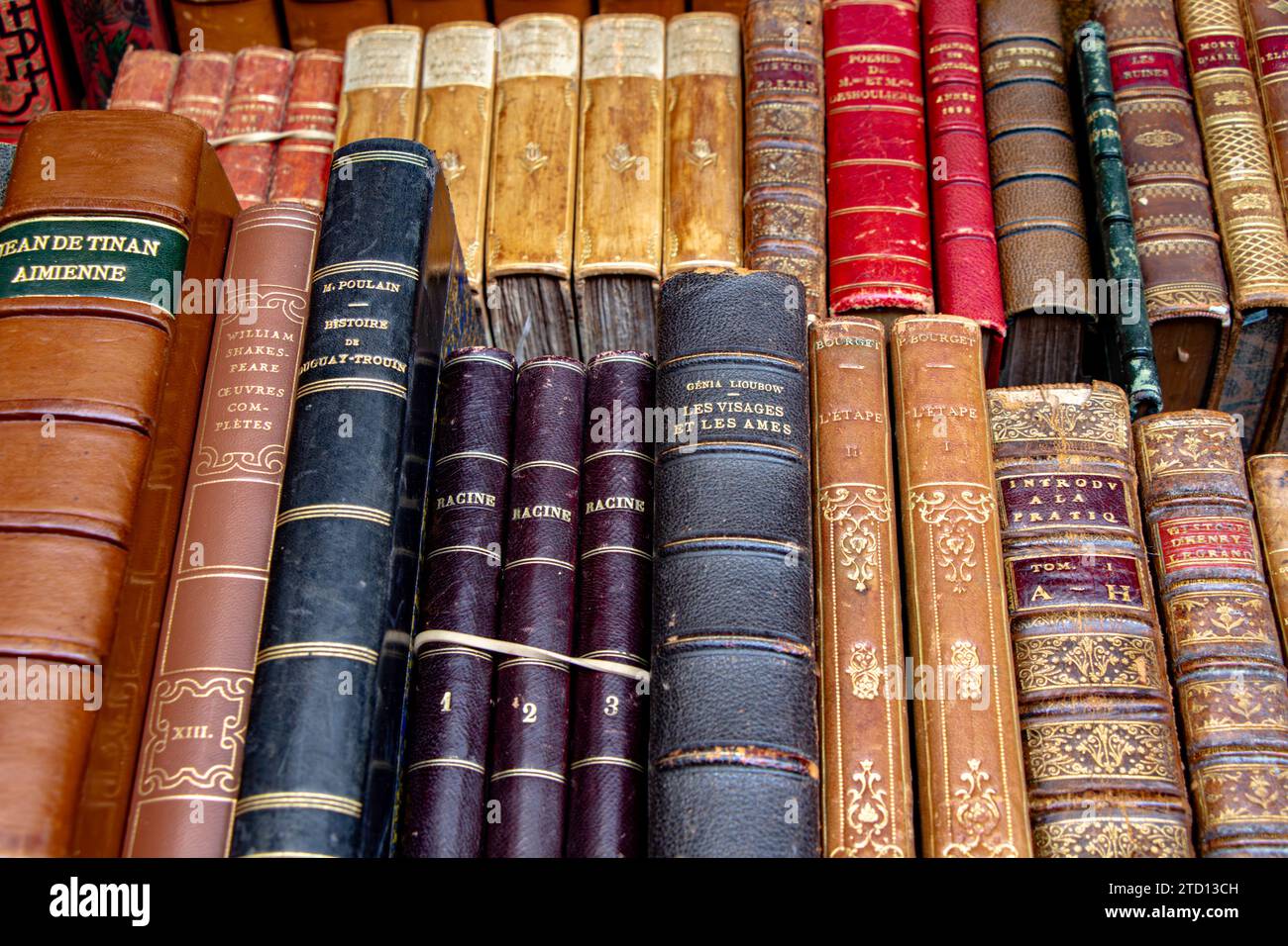 Libri francesi d'epoca e rari al Librairie du Passage, all'interno del Passage Jouffrey, una galleria commerciale coperta nel 9° arrondissement di Parigi in Francia Foto Stock
