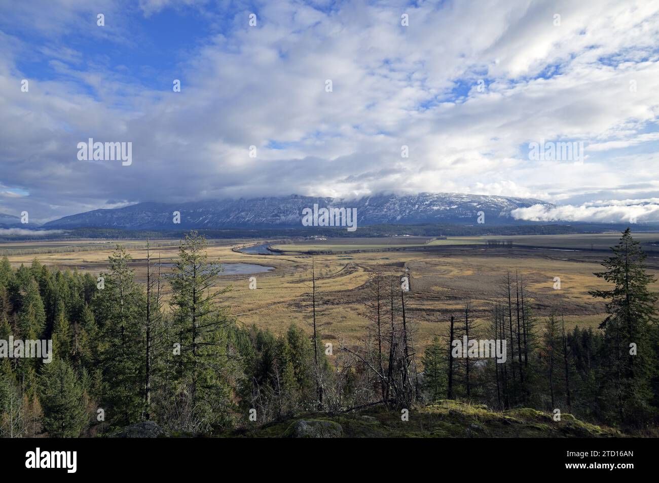 Affacciato sulla valle del fiume Kootenai, guarda verso le Purcell Mountains, in autunno. Boundary County, Idaho settentrionale. (Foto di Randy Beacham) Foto Stock