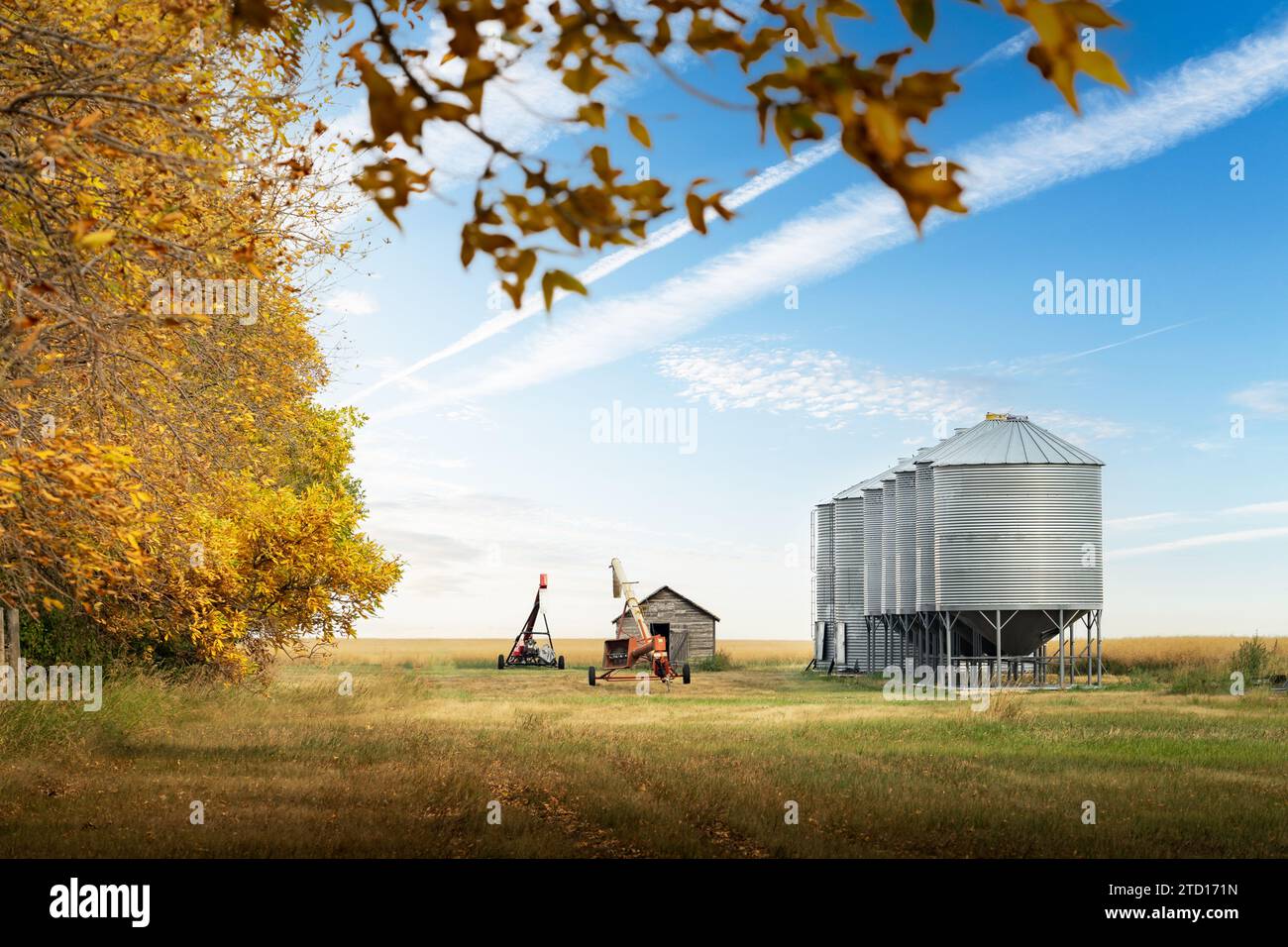 Contenitori di stoccaggio e coclee di grano in un'azienda agricola dopo il raccolto autunnale nelle praterie canadesi nella contea di Kneehill, Alberta, Canada. Foto Stock