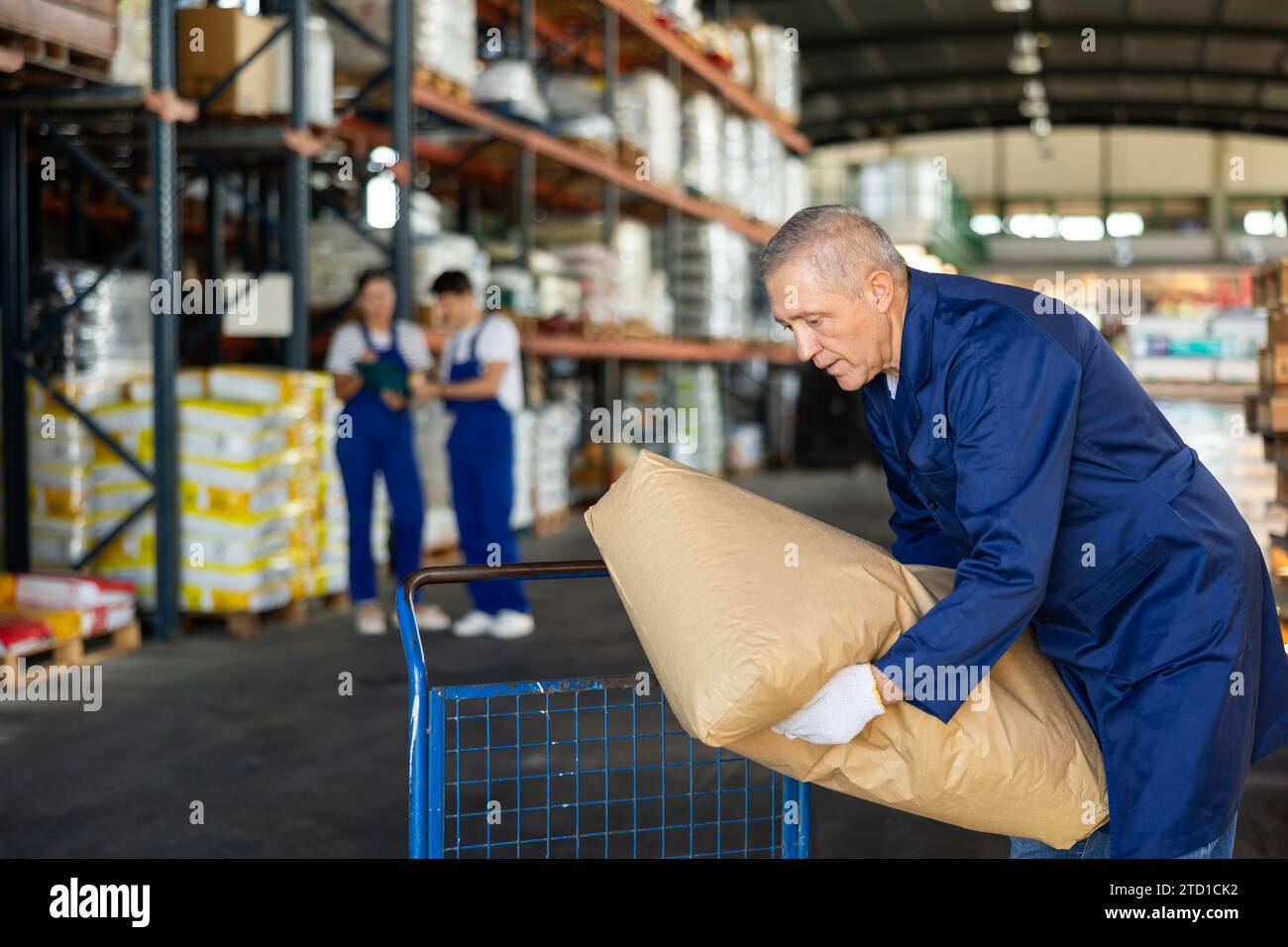 L'uomo anziano mette sul carrello un sacco di carta ingombrante di miscela per costruzioni a secco. Foto Stock