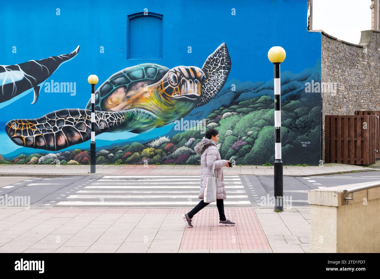 Una donna cammina davanti a una zebra pedonale che attraversa i Belisha Beacons. Lo sfondo è un grande murale marino dipinto da un artista locale di strada Foto Stock