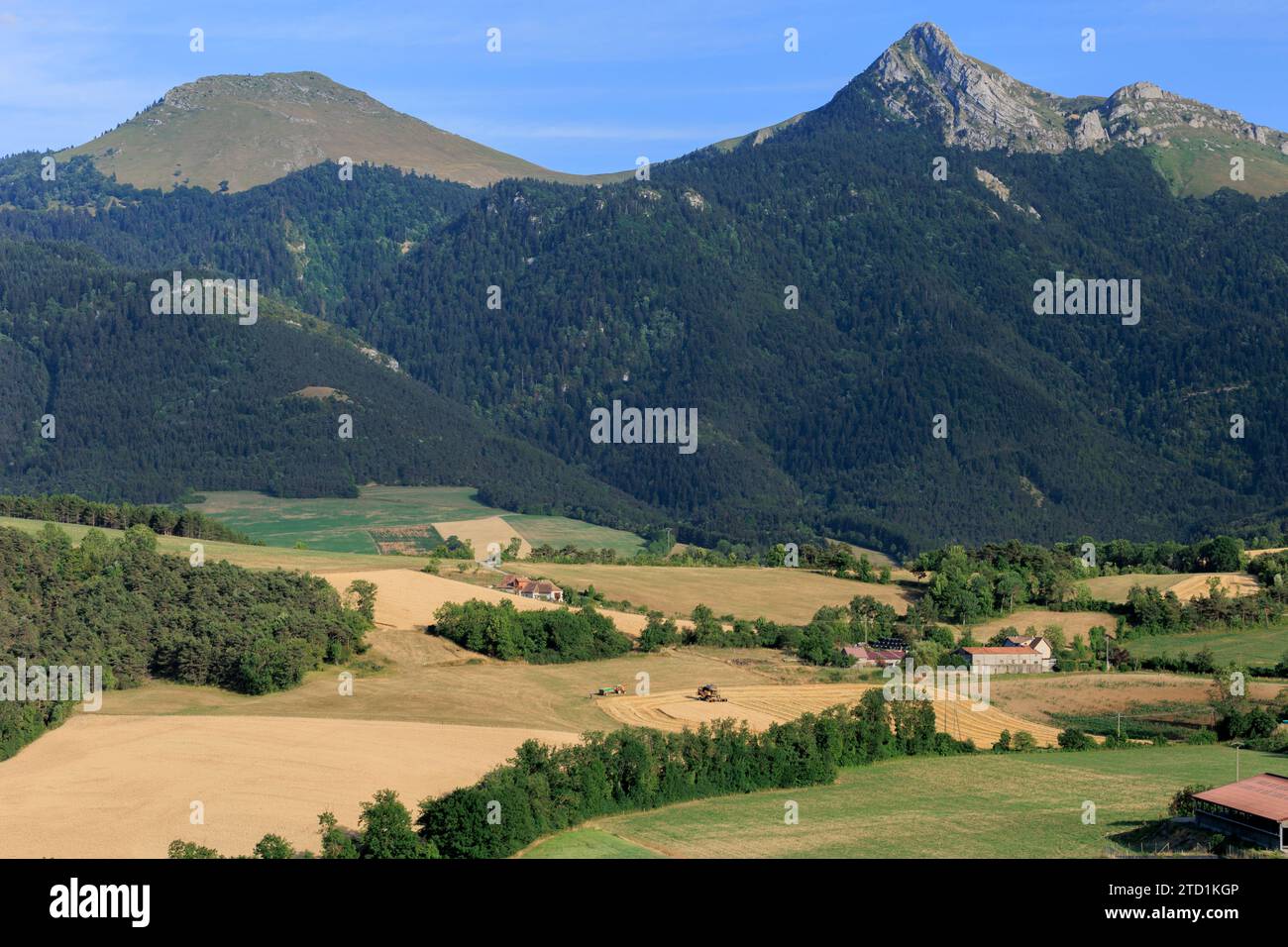 Campagna nella regione di le Trieves, Isere, Grenoble, Auvergne-Rodano-Alpes, Francia, Foto Stock
