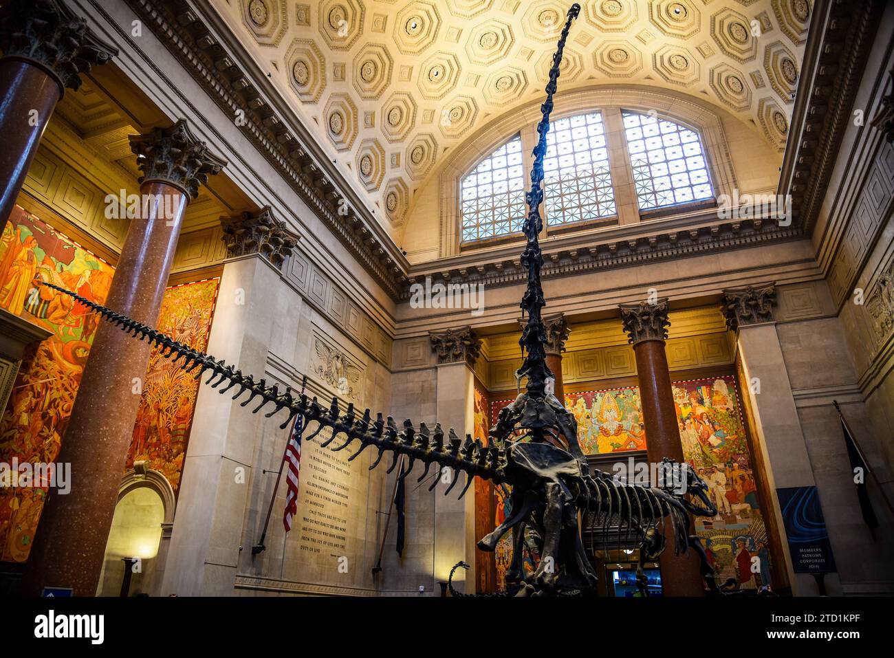 La Theodore Roosevelt Rotunda con i suoi iconici scheletri di Barosaurus e Allosaurus nell'American Museum of Natural History di Manhattan, New York Foto Stock