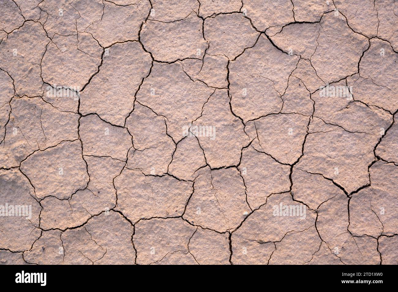 Piastrelle di fango al 20 Mule Team Canyon nel Death Valley National Park, California. Foto Stock