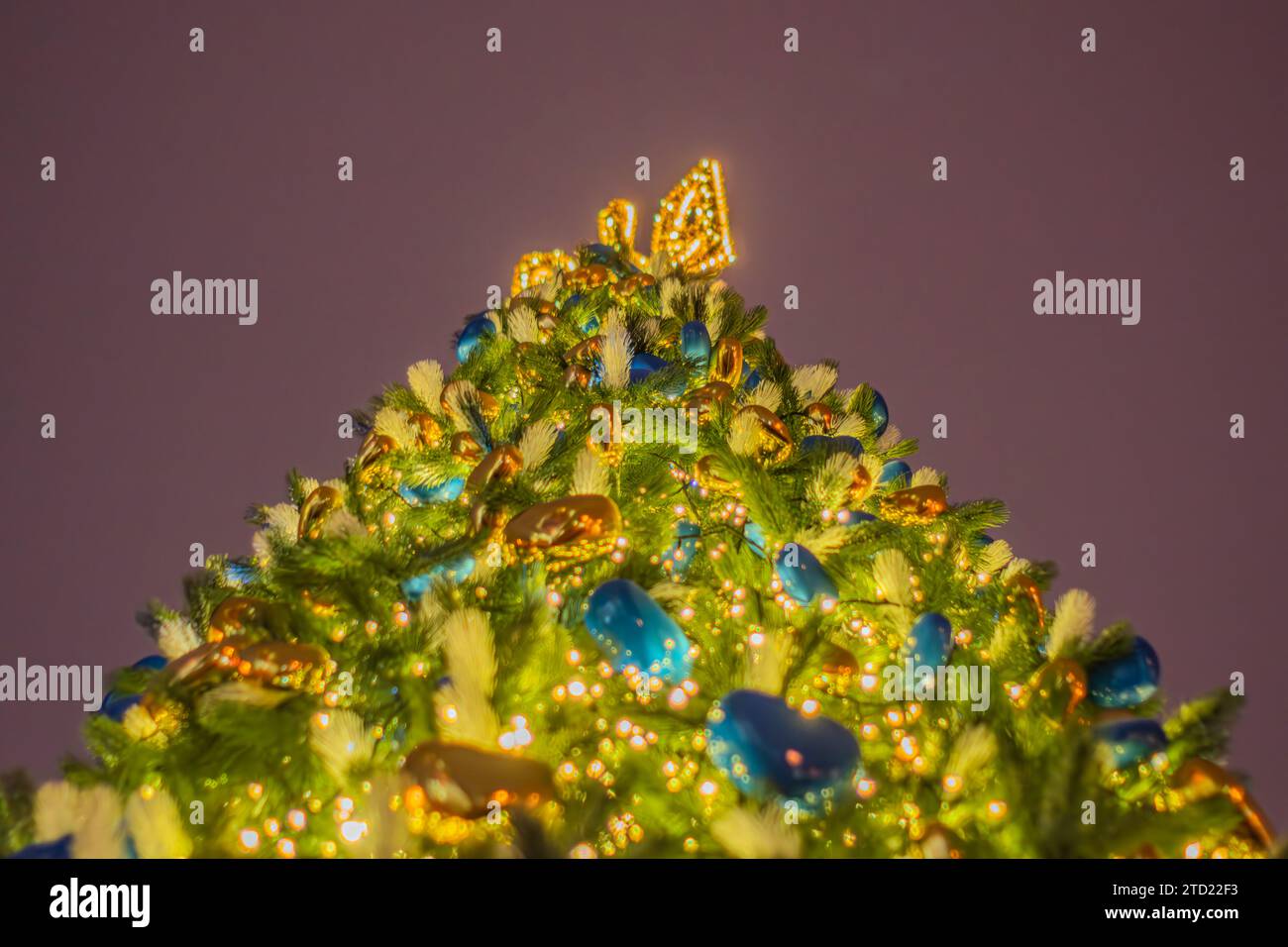 Stemma dell'Ucraina, decorazione di Capodanno. Decorato la vigilia di Capodanno in cima all'albero di Natale a Kiev. Albero di Natale e luci di notte Foto Stock