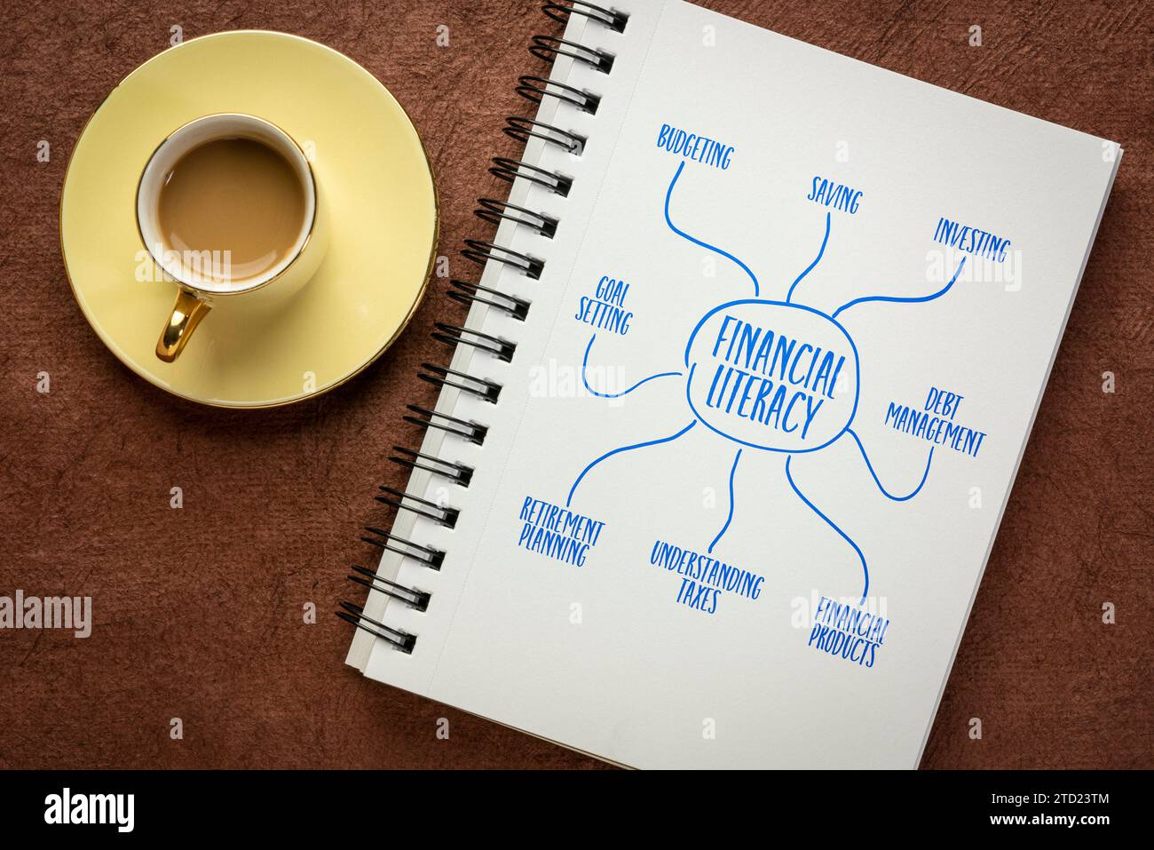 infografiche sull'alfabetizzazione finanziaria o schizzi di mappe mentali in un notebook a spirale - concetto di finanza personale e formazione Foto Stock