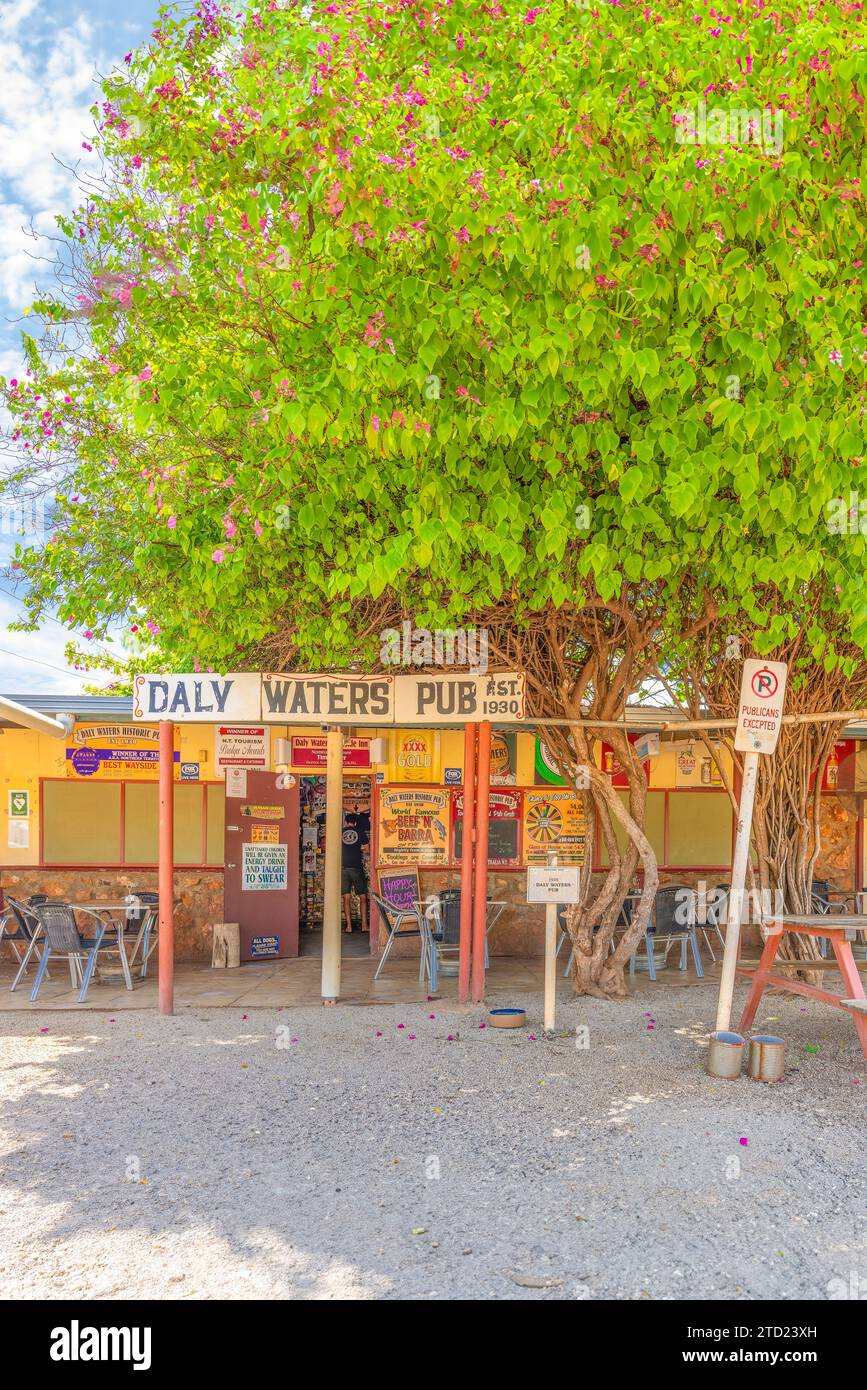 Daly Waters, Australia - 15 dicembre 2023: Il famoso Daly Waters Pub nell'Outback Australia è un punto di sosta preferito dai viaggiatori. Foto Stock