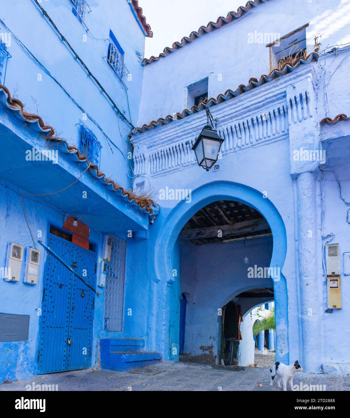 Edificio con un'entrata con un arco semicircolare, in stile arabo, sulla strada dipinta di blu nella medina di Chefchaouen, Marocco Foto Stock