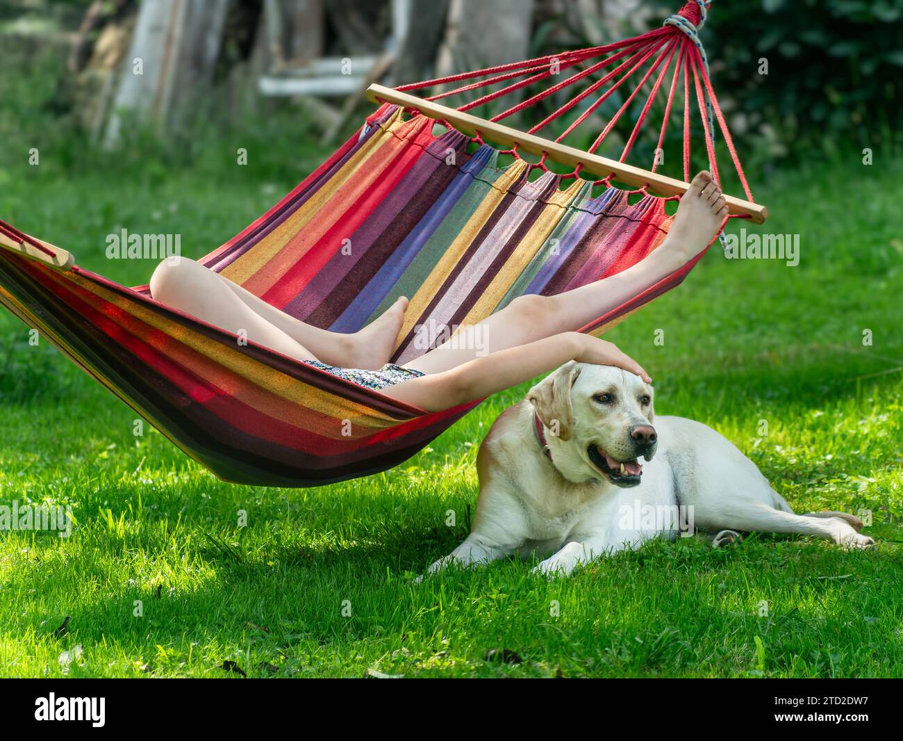 Rilassati su un'amaca in estate, con un cane Labrador al tuo fianco Foto Stock