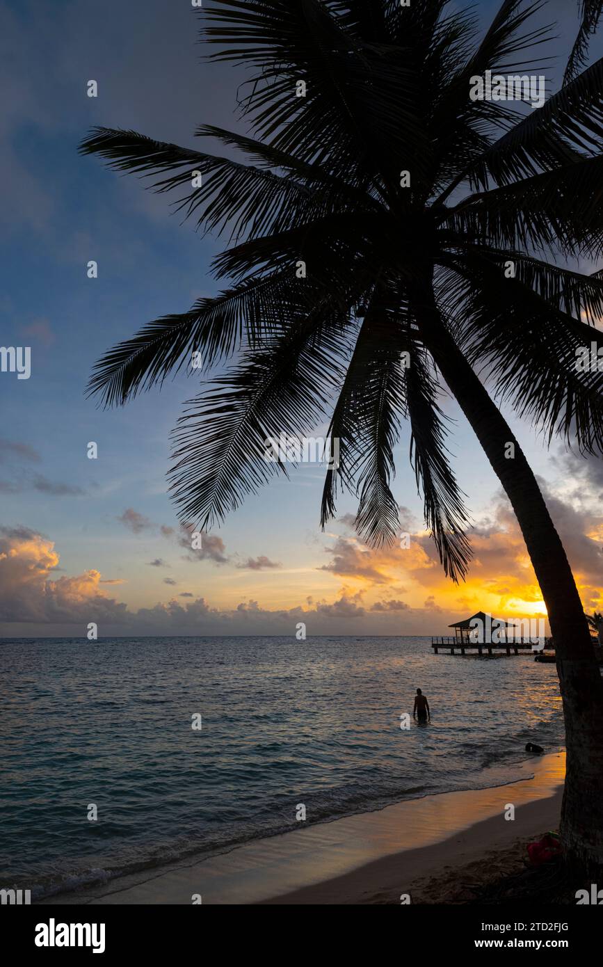Saluta l'alba sulla spiaggia di Isla San Andres, Mar dei Caraibi, Colombia Foto Stock