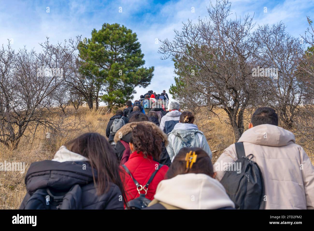 Le persone che amano gli sport della natura camminano nella natura con i loro zaini. Foto Stock