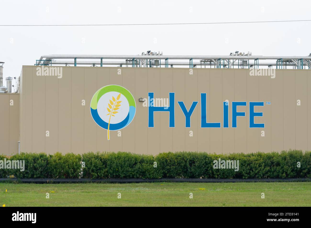 Il fiore all’occhiello della HyLife a Neepawa, MB, Canada Foto Stock