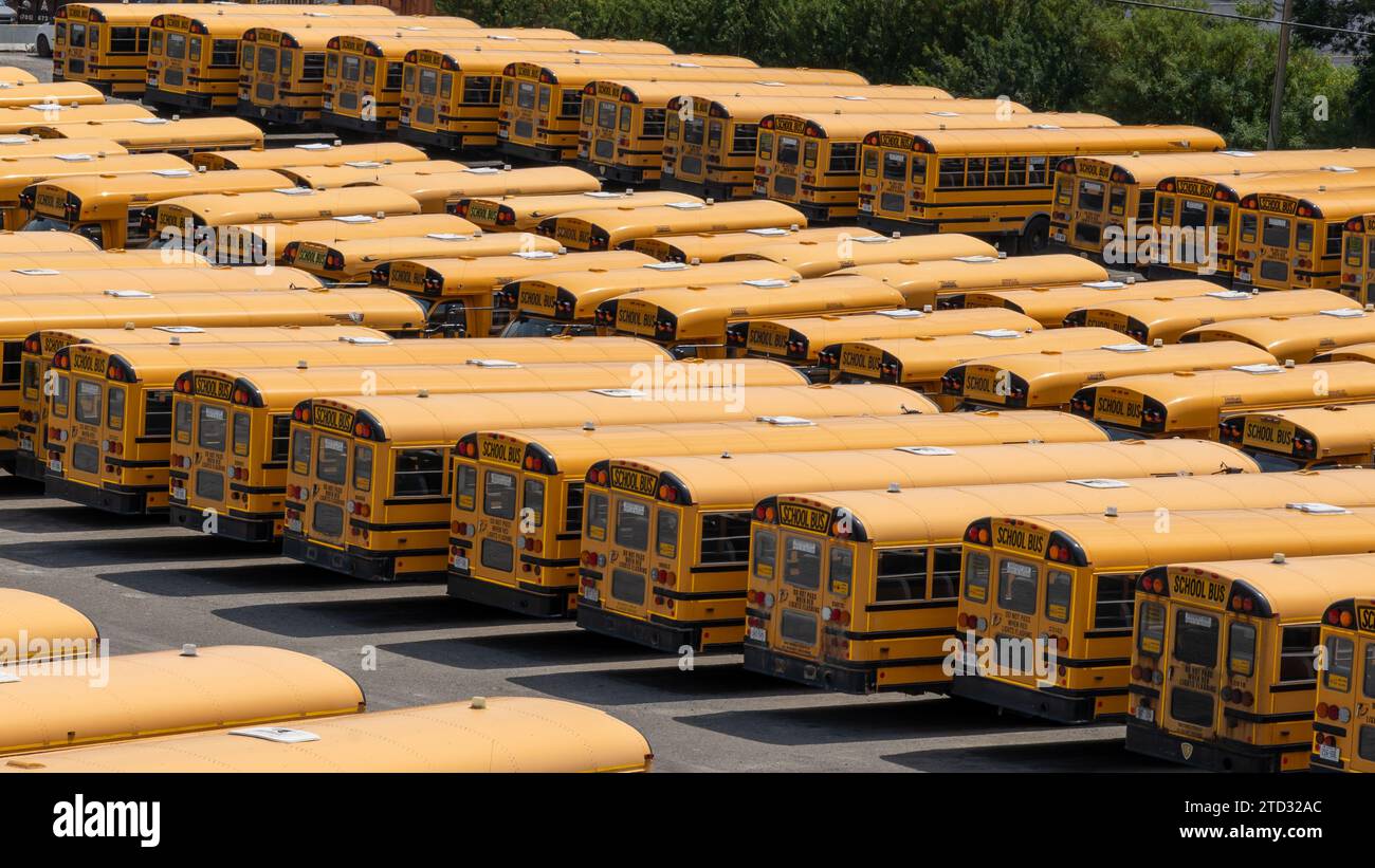 Molti scuolabus in un parcheggio. Greater Sudbury, ONTARIO, Canada Foto Stock