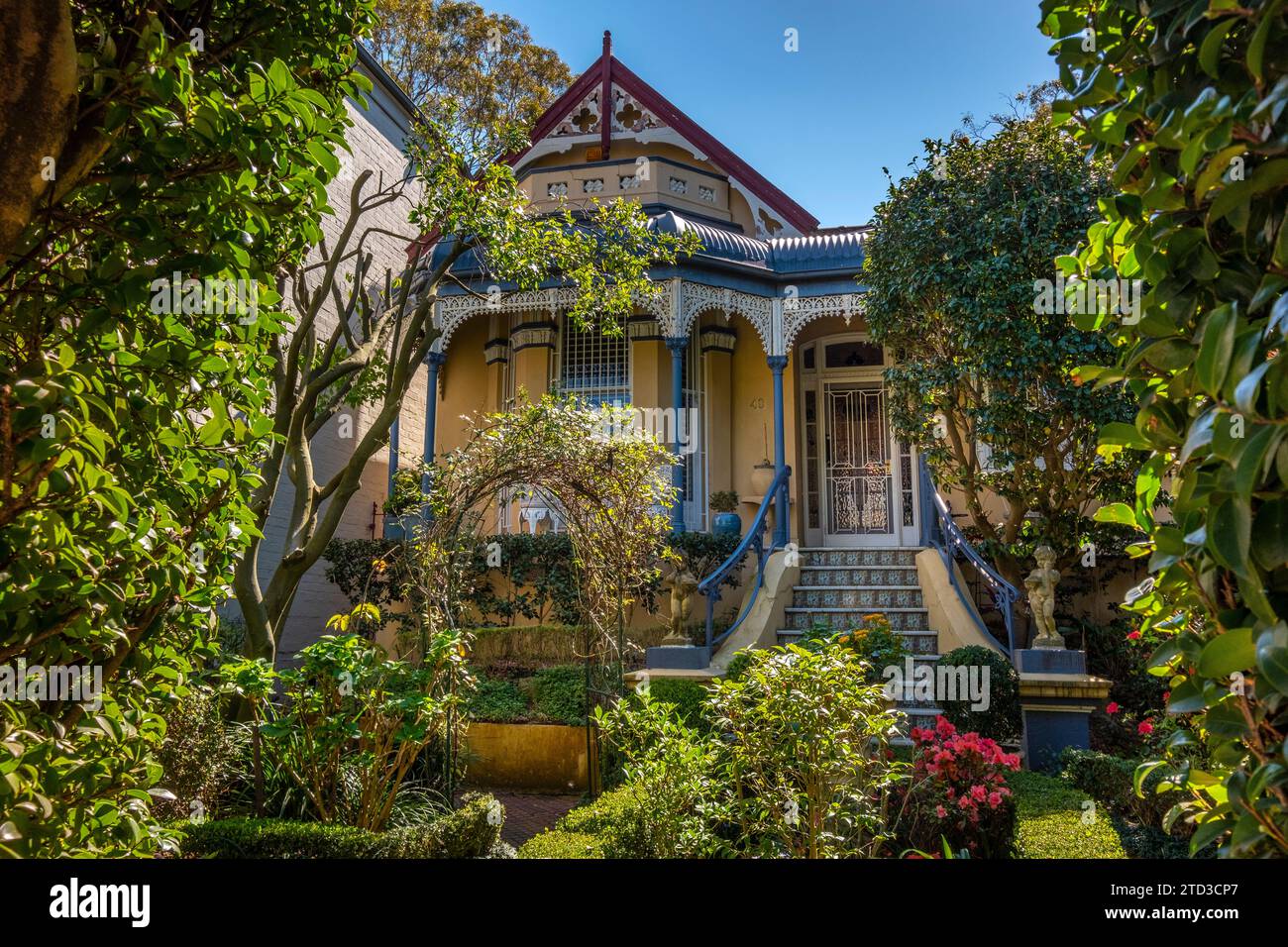 Case a schiera vittoriane a Glebe, Sydney, NSW, Australia. Foto Stock