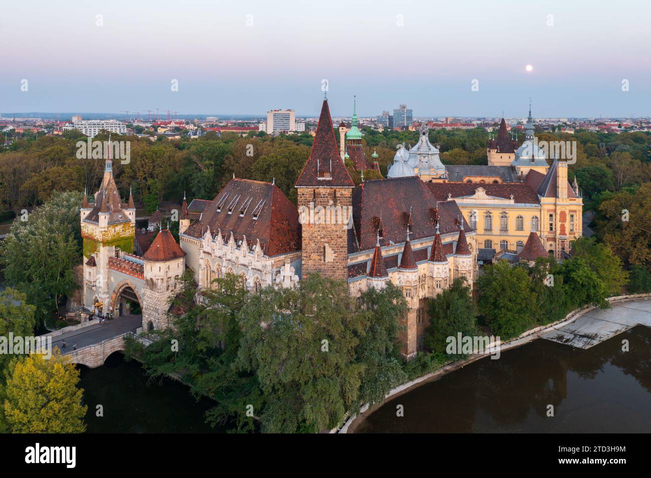 Vista aerea sul Castello di Vajdahunyad e sul Museo e la Biblioteca dell'Agricoltura ungherese nel parco cittadino di Budapest. Ballonfly sullo sfondo. Foto Stock