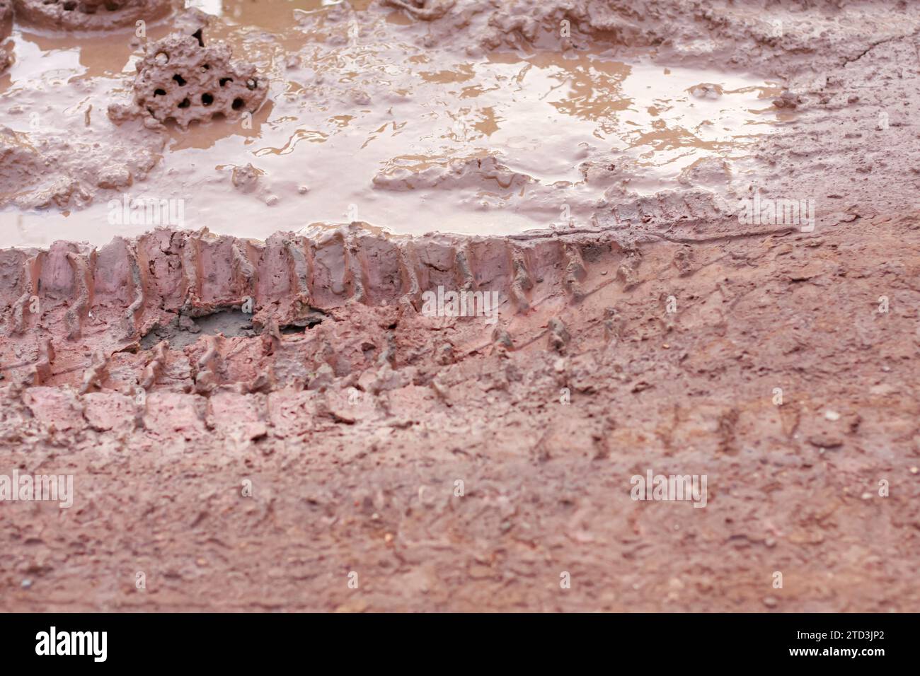 Una traccia di pneumatici nel fango Foto Stock