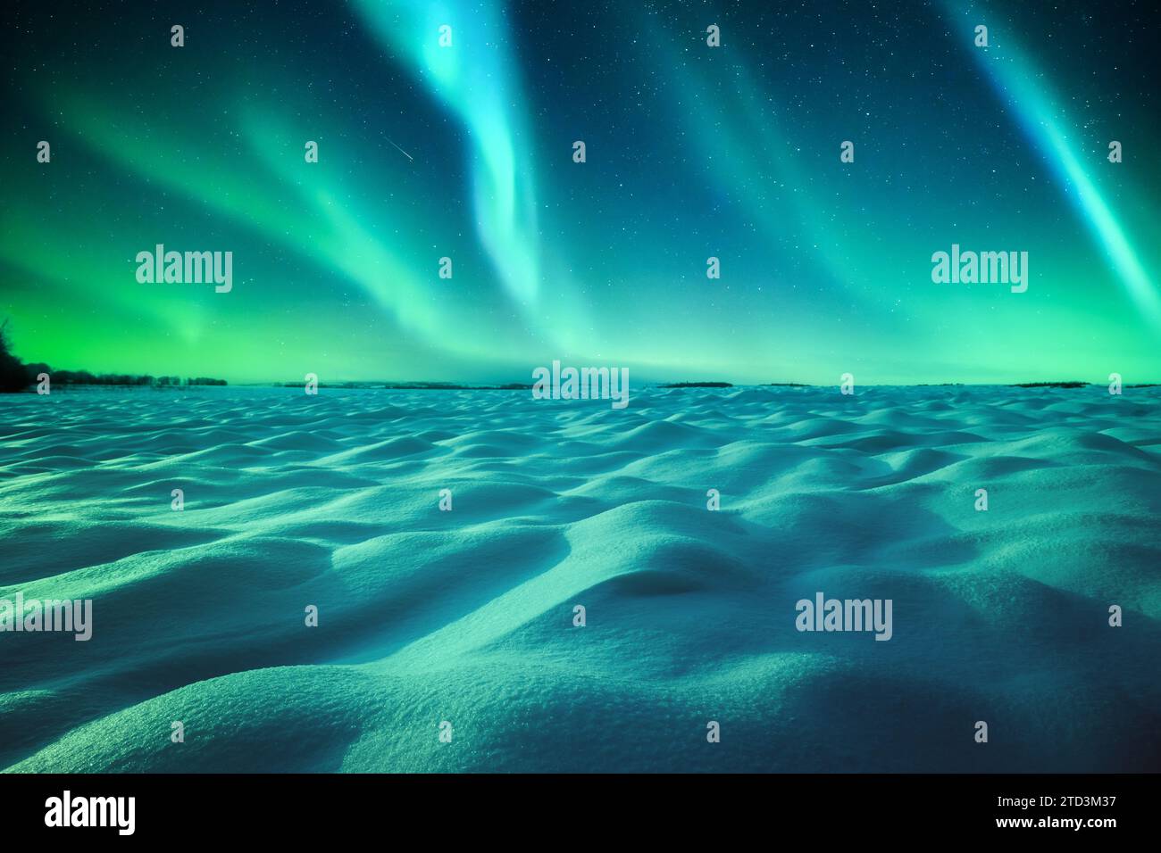 Campo innevato con aurora boreale boreale nel cielo notturno invernale. Cielo con luci polari verdi e stelle. Fotografia di paesaggi Foto Stock