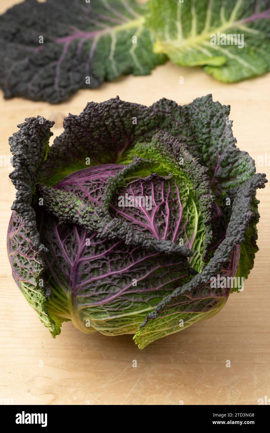 Primo piano di cavolo crudo crudo di Pontoise, miscela di cavolo verde e cavolo Savoy Foto Stock