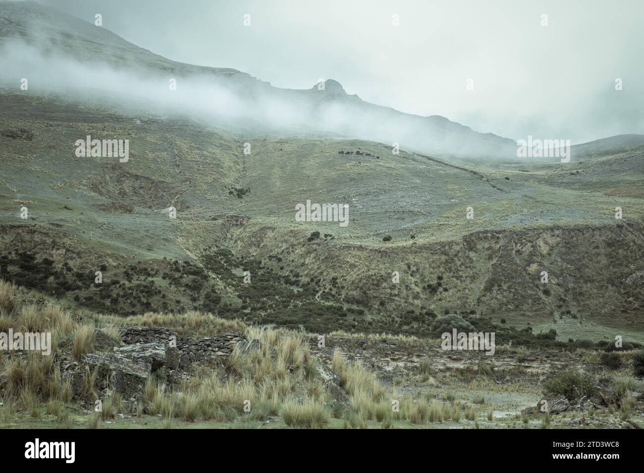 Paesaggio nelle Highlands, nebbia di prima mattina, Chacapalpa, Perù Foto Stock