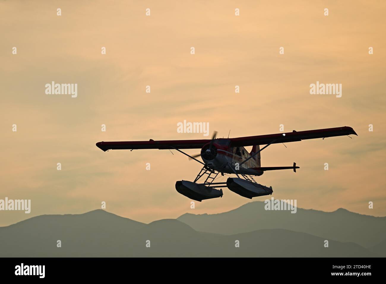 Un aereo da boscaglia Beaver De Havilland con galleggianti sullo sfondo delle montagne Chugach in avvicinamento, Anchorage, Alaska Foto Stock
