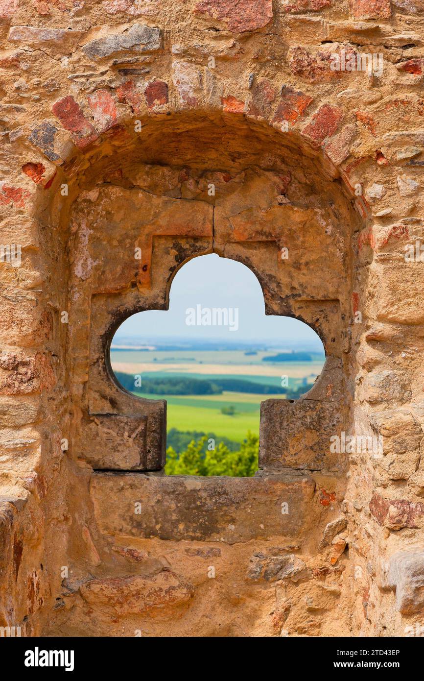 Rovine del castello di Frauenstein Foto Stock