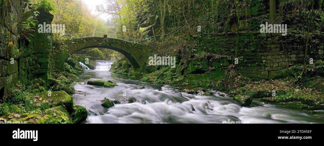 Liebethaler Grund vicino a Lohmen, nella Svizzera sassone Foto Stock