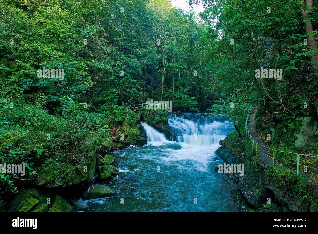 Liebethaler Grund vicino a Lohmen, nella Svizzera sassone Foto Stock
