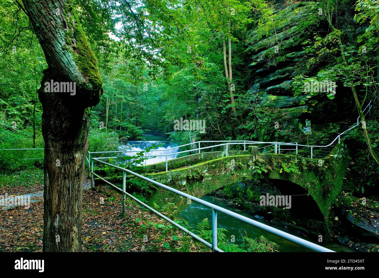 Liebethaler Grund vicino a Lohmen, nella Svizzera sassone Foto Stock