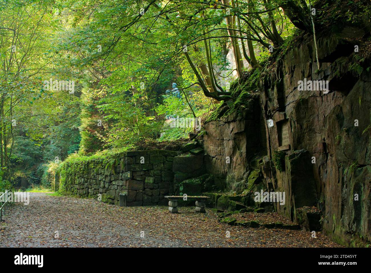 Liebethaler Grund vicino a Lohmen, nella Svizzera sassone Foto Stock