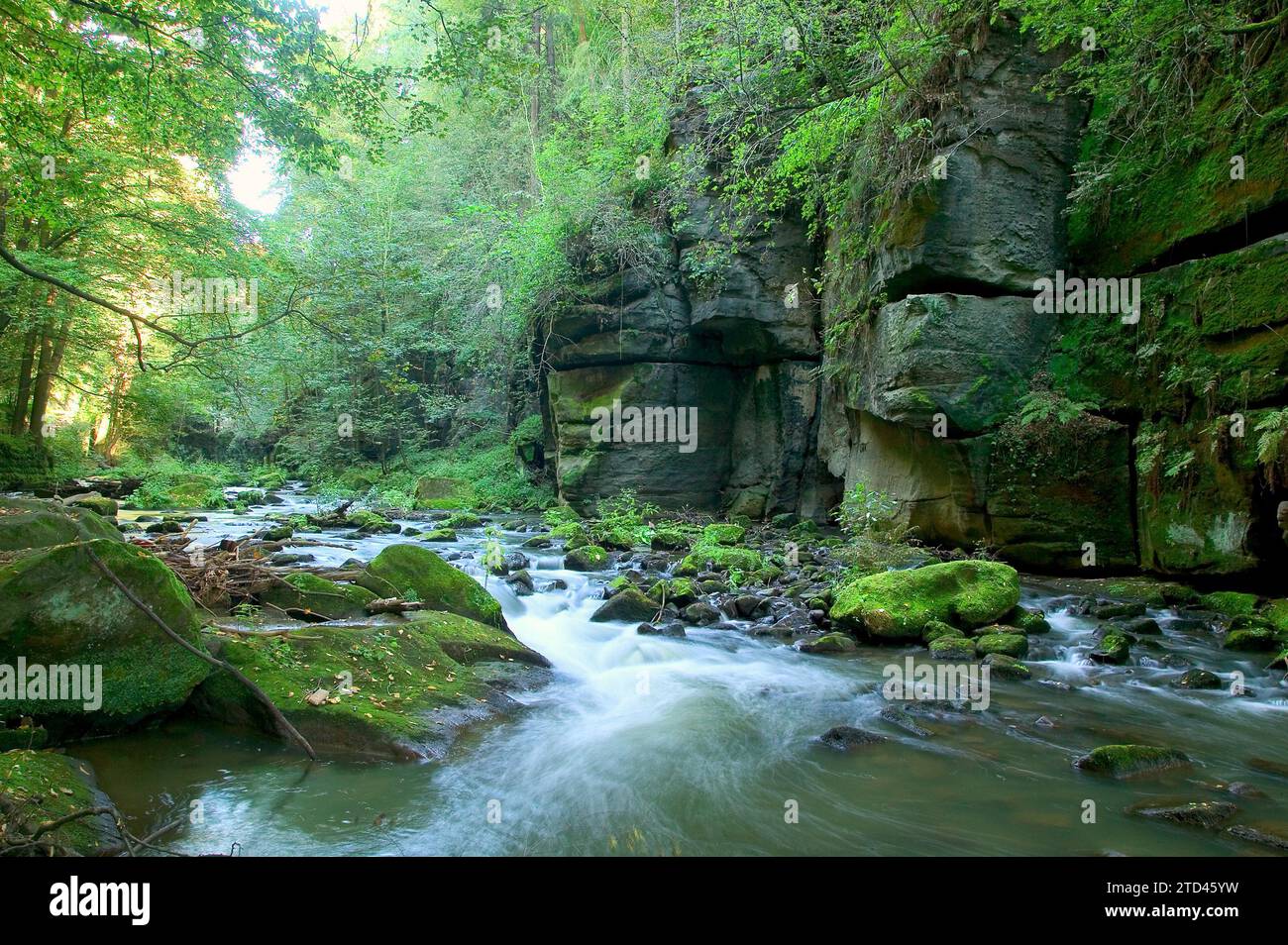 Liebethaler Grund vicino a Lohmen, nella Svizzera sassone Foto Stock