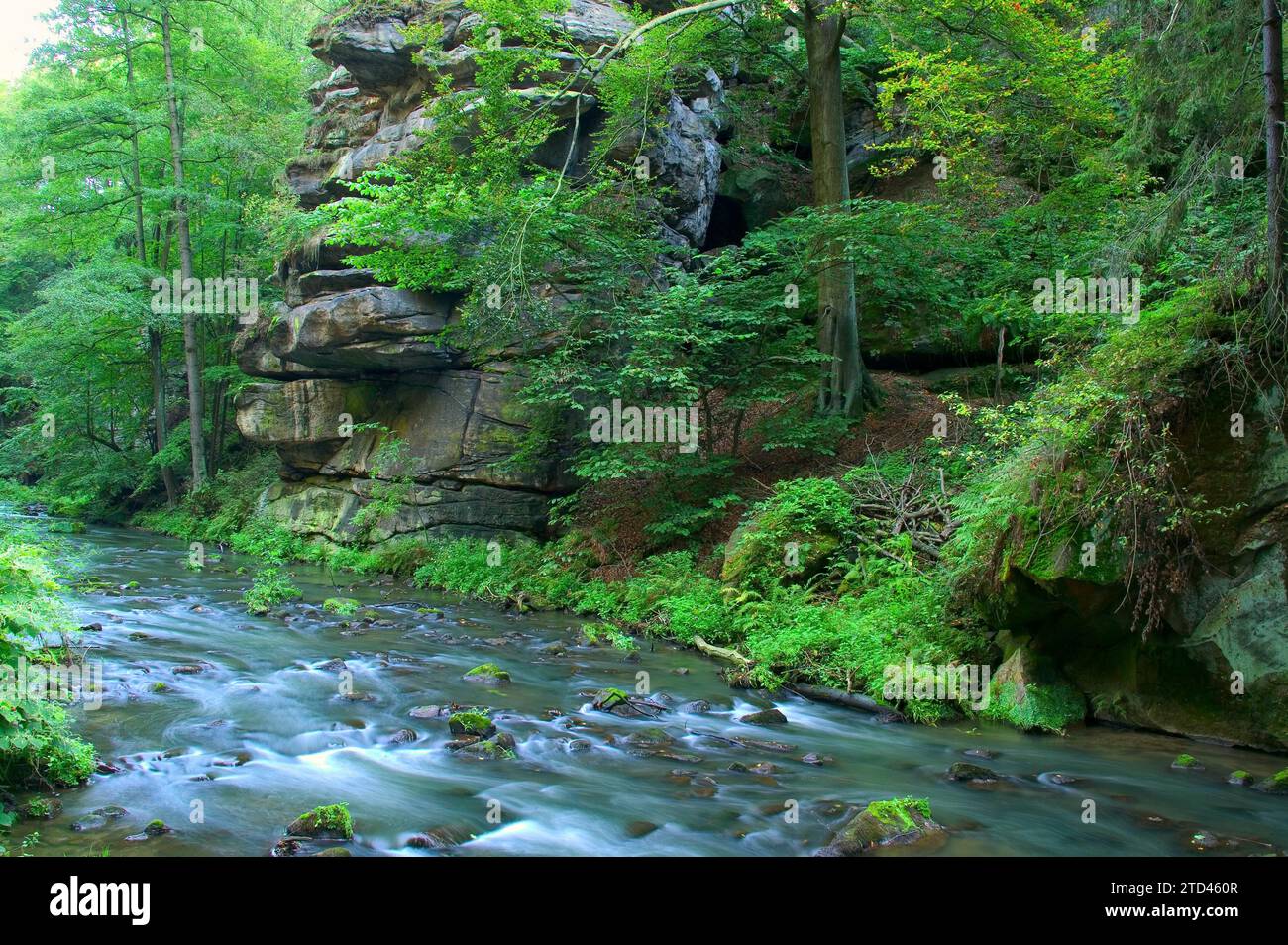 Liebethaler Grund vicino a Lohmen, nella Svizzera sassone Foto Stock