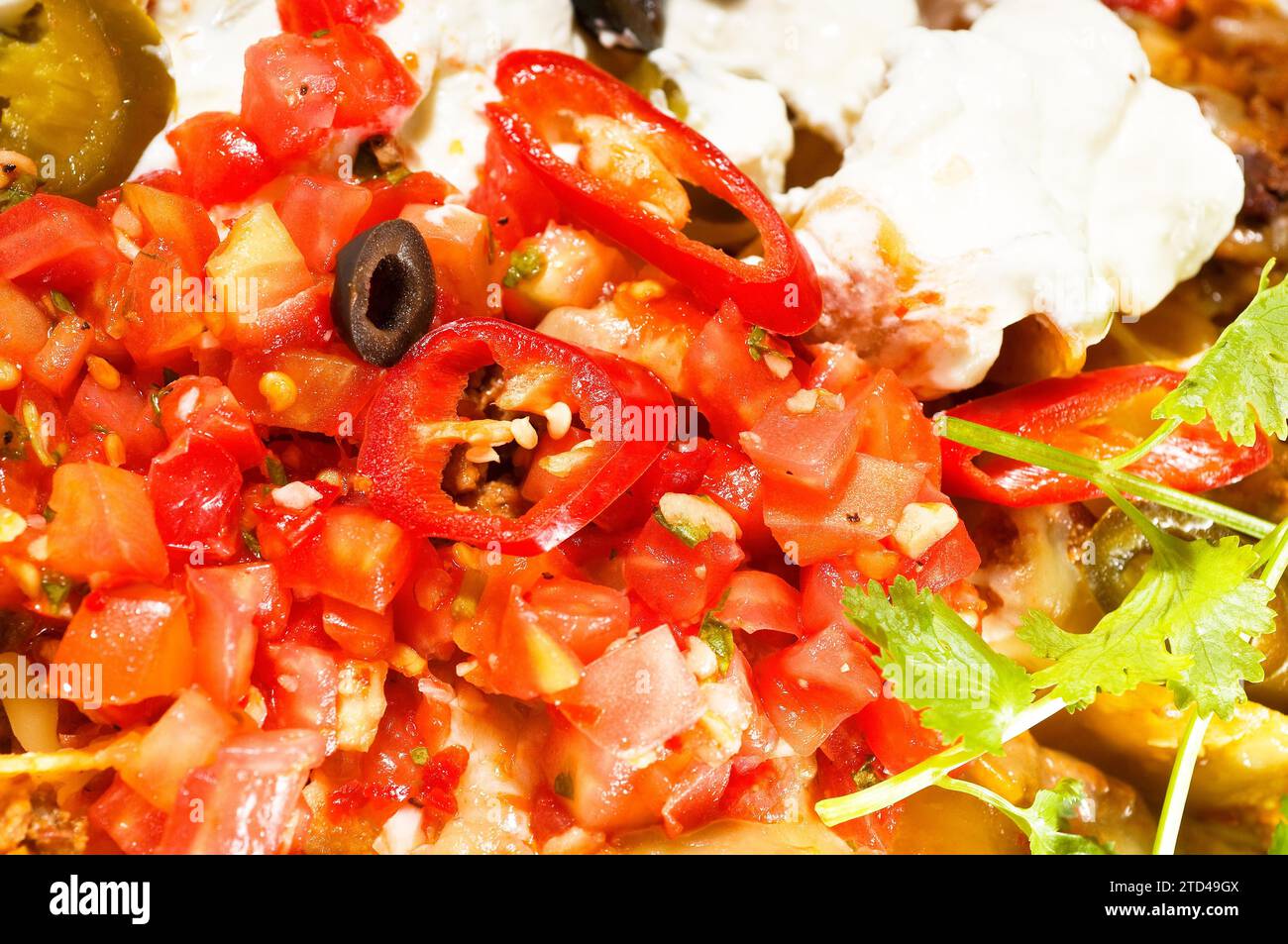 Nachos freschi e insalata di verdure con carne, peperoncino con carne, cibo messicano tipico, fotografia gastronomica Foto Stock
