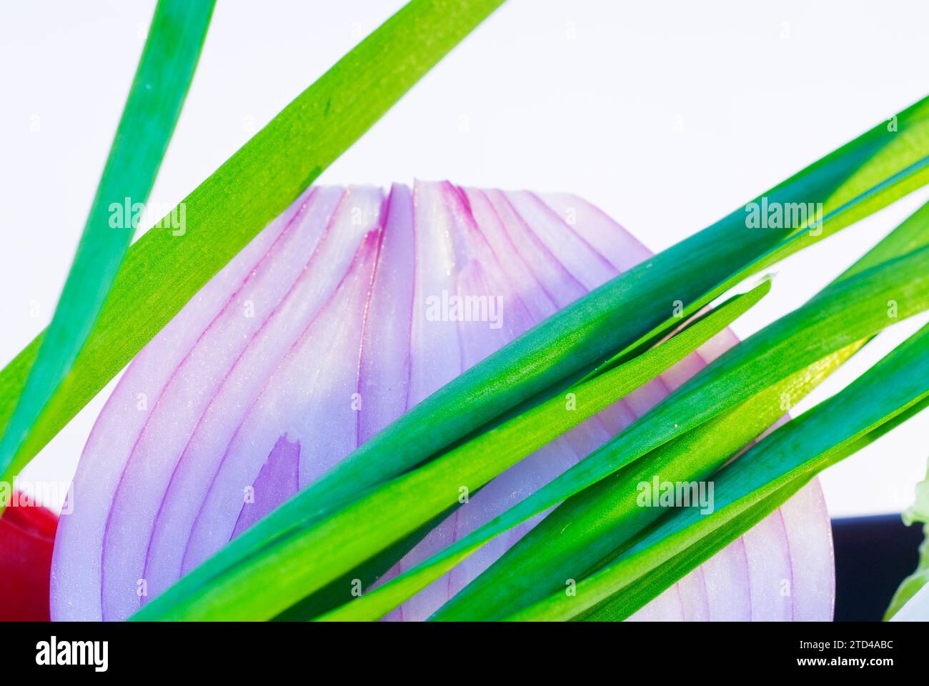 Cipolla fresca e porri estremamente ravvicinati sul bianco, fotografia del cibo Foto Stock