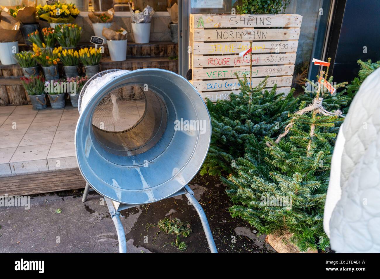 Le Havre, Francia - 6 dicembre 2023: Vendita dell'albero di Natale di fronte a un vivaio a le Havre, Francia con macchina per il confezionamento della rete dell'albero di Natale e abeti Nordmann *** Weihnachtsbaum Verkauf vor einer Gärtnerei a le Havre, Frankreich mit Weihnachtsbaumnetz Verpackungsmaschine und Nordmann Tannenbäumen Foto Stock