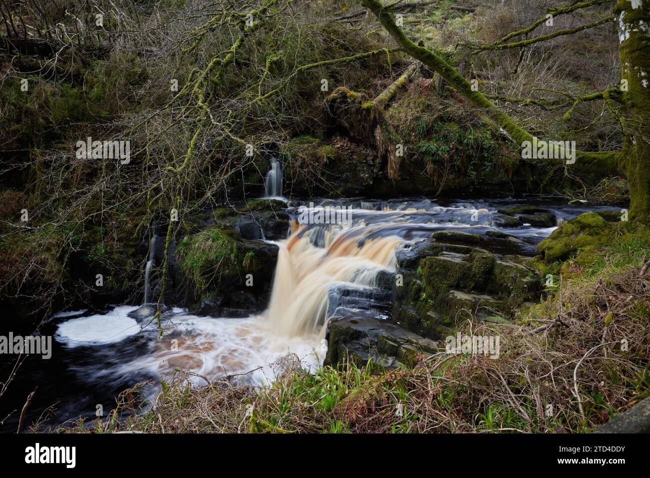 Cascate nel Glenariff Forest Park, contea di Antrim, Irlanda del Nord Foto Stock