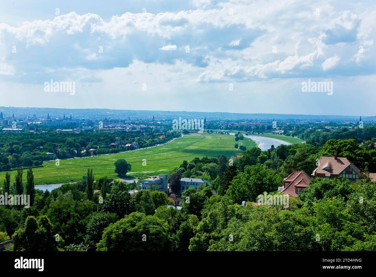 Dresden Weisser veduta dei cervi dal Luisenhof alla valle dell'Elba Foto Stock