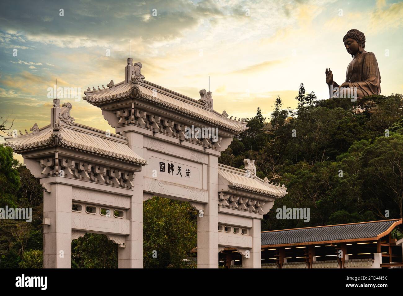 Il grande Buddha si trova a Ngong Ping, Isola di Lantau, a Hong Kong. Foto Stock