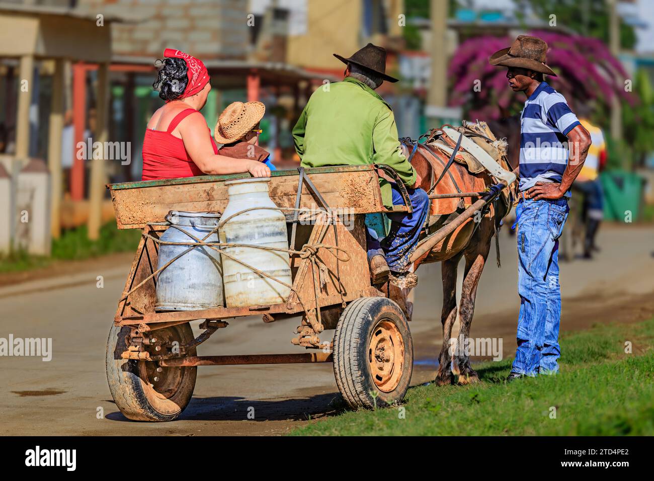 Consegna di latte a Cuba Foto Stock