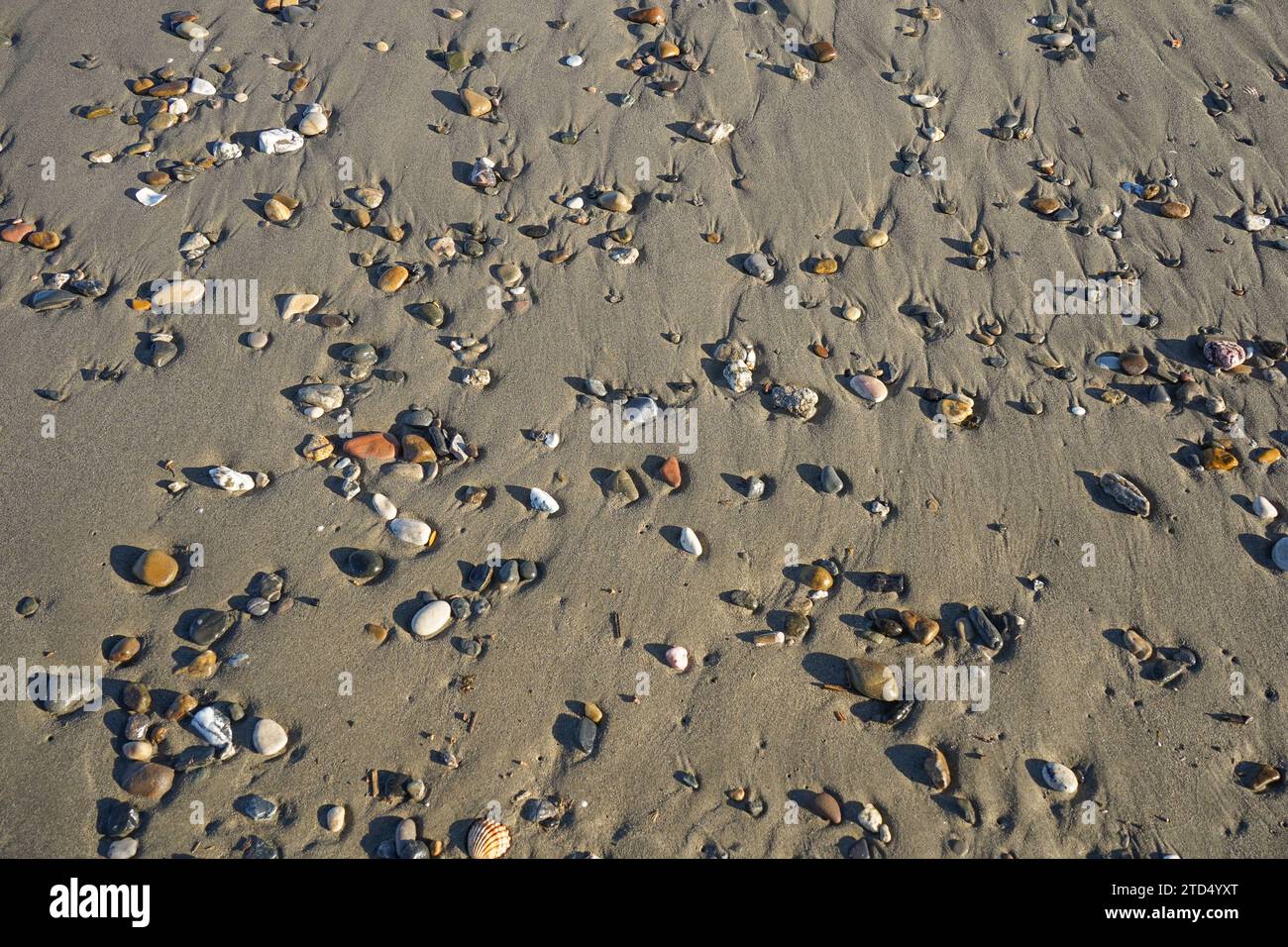 ciottoli e sassi nella sabbia in spiaggia. Foto Stock