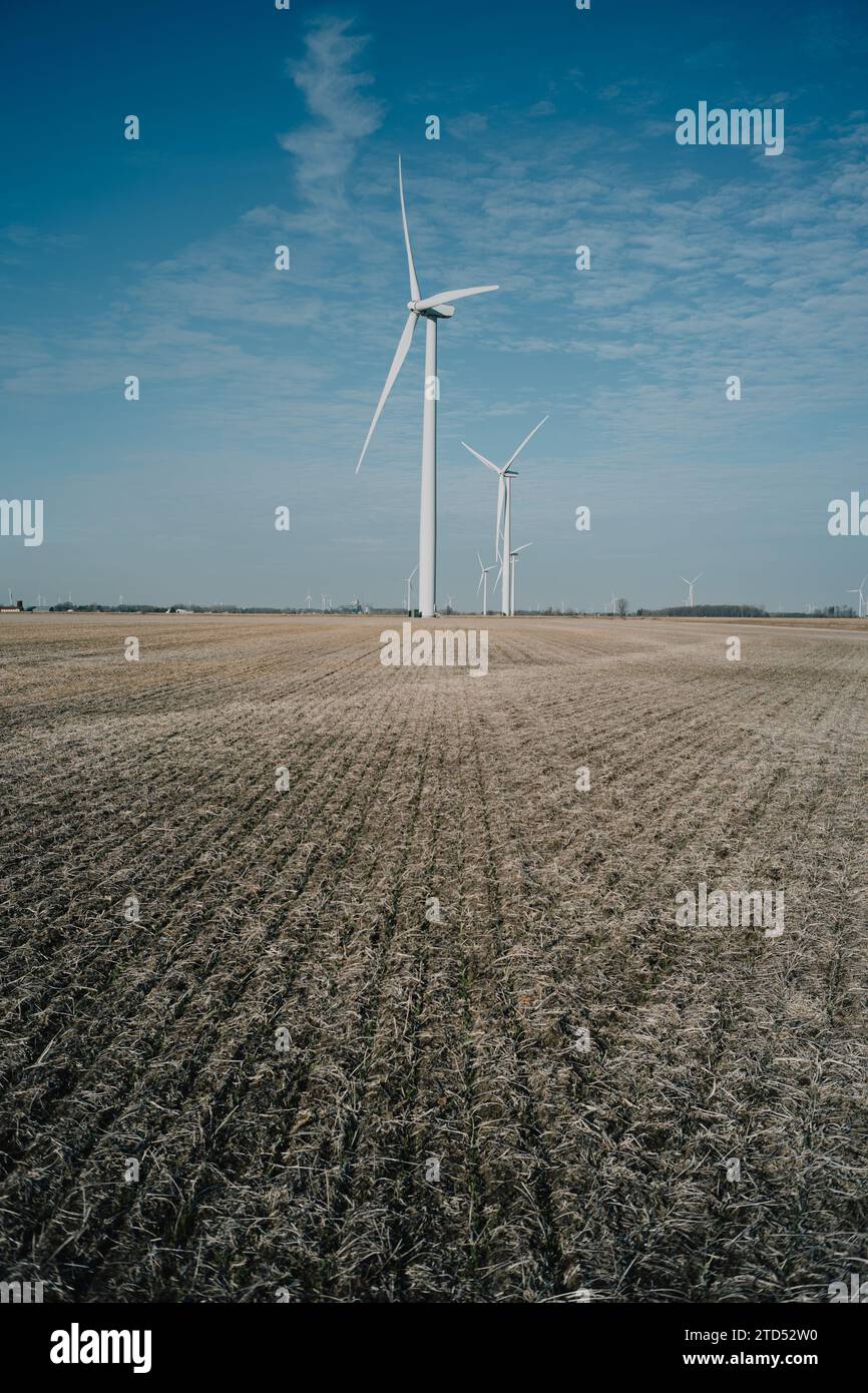 Turbine eoliche in un parco eolico nella zona di Thumb del Michigan, Tuscola County Foto Stock