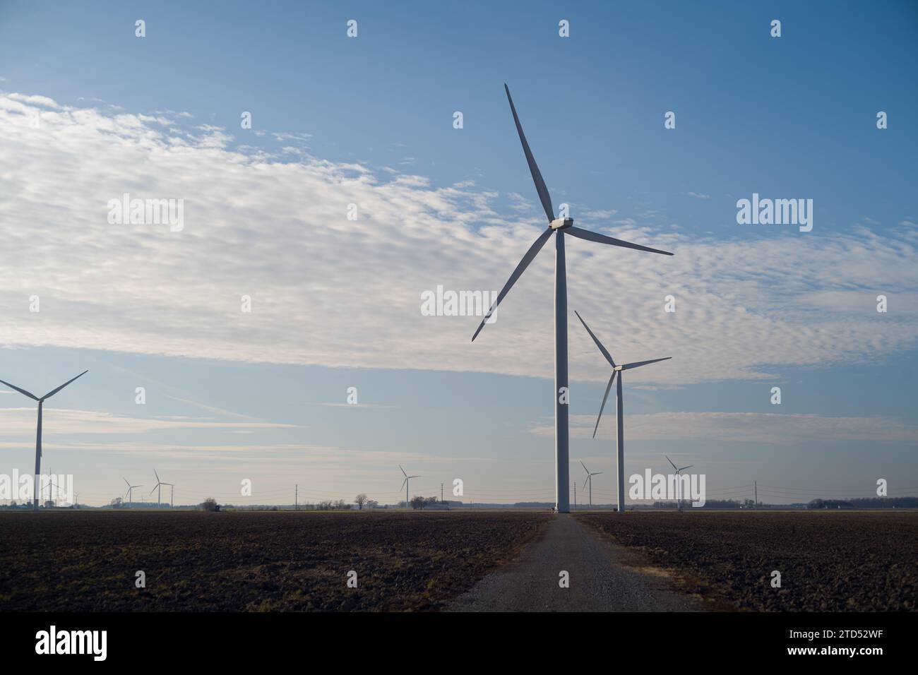 Turbine eoliche in un parco eolico nella zona di Thumb del Michigan, Tuscola County Foto Stock