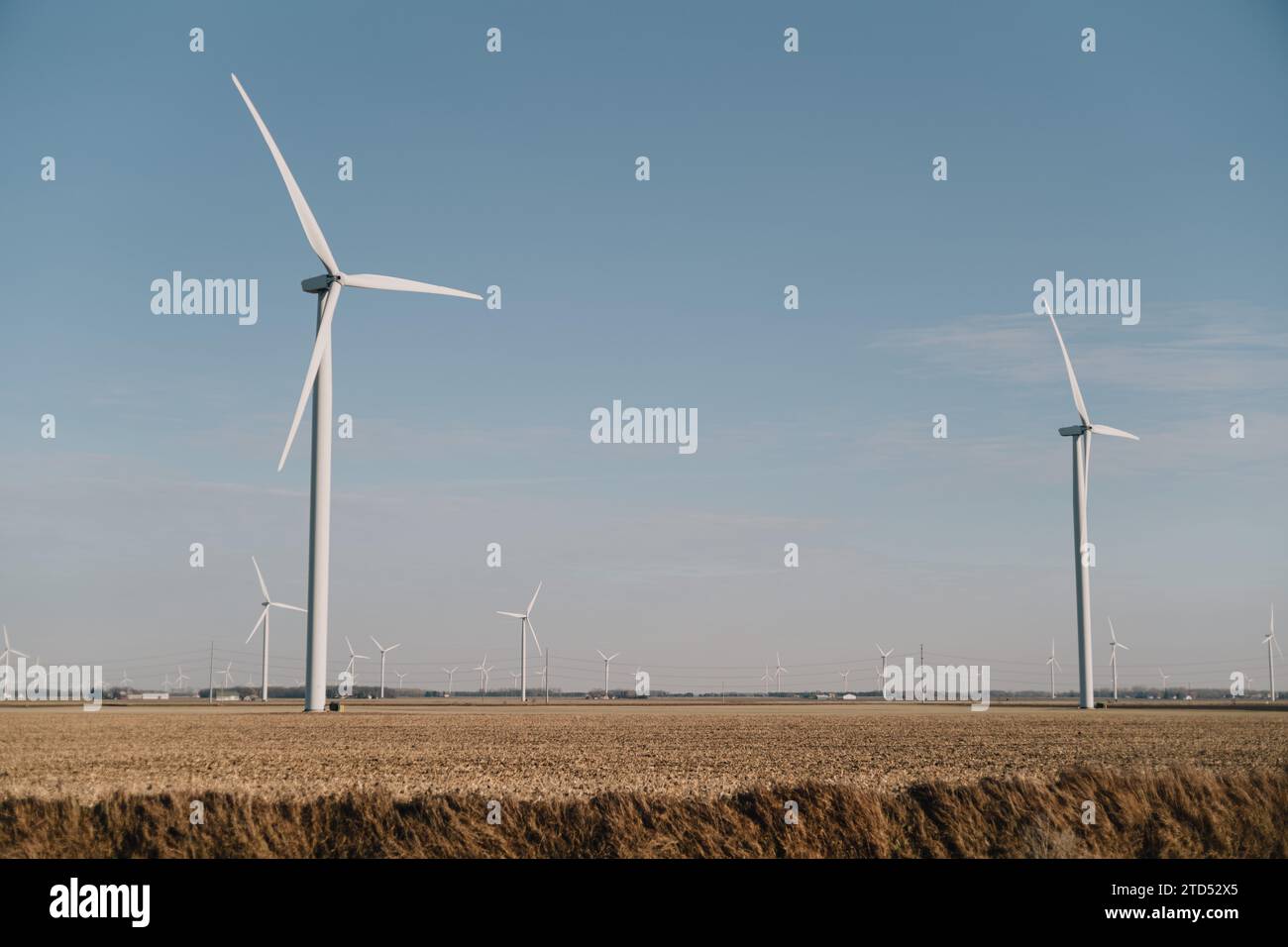 Turbine eoliche in un parco eolico nella zona di Thumb del Michigan, Tuscola County Foto Stock