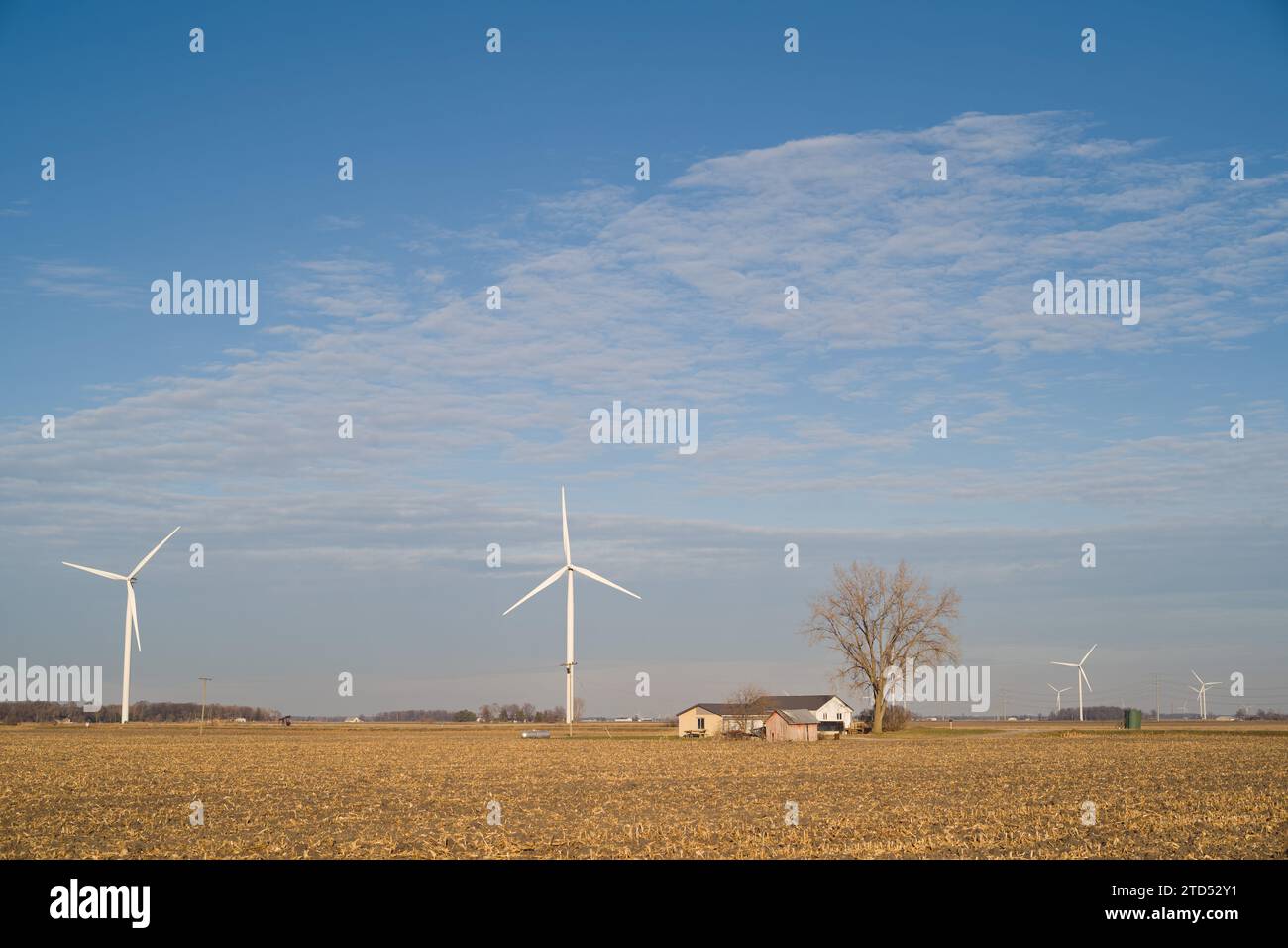 Turbine eoliche in un parco eolico nella zona di Thumb del Michigan, Tuscola County Foto Stock